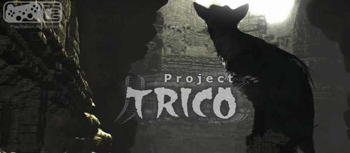 project-trico-cover-image-005