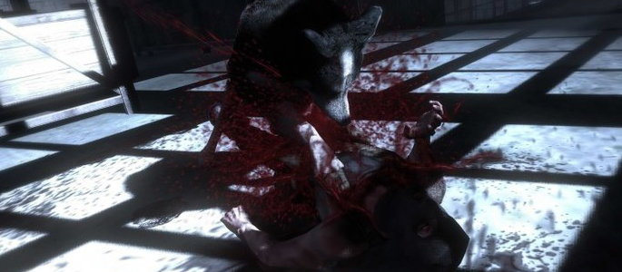 Dead-to-Rights-Shadow