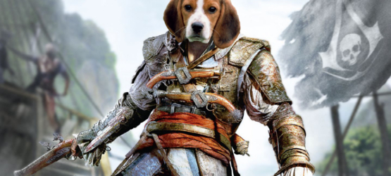 assassindogs