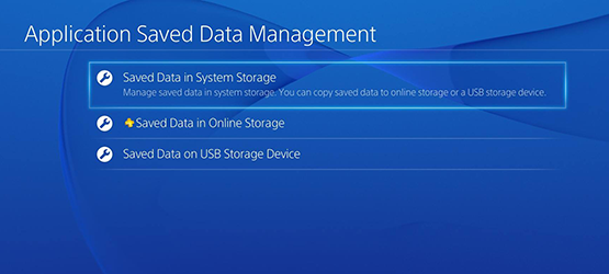 Saved Data in System Storage