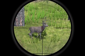 Deer Hunter Reloaded