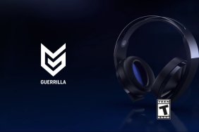 Platinum Wireless Headset horizon