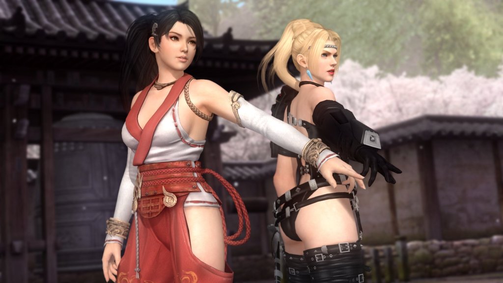 dead or alive 5 development