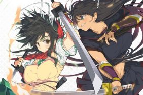 senran kagura burst renewal dlc