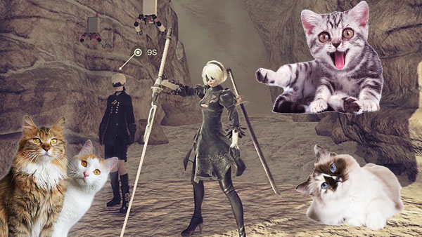 Next NieR Game