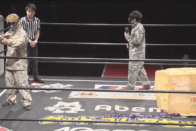 metal gear ddt