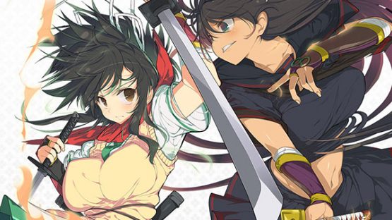 senran kagura burst renewal collectors edition