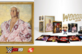 WWE 2K19 Collectors Edition