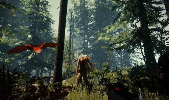 the forest ps4 release date