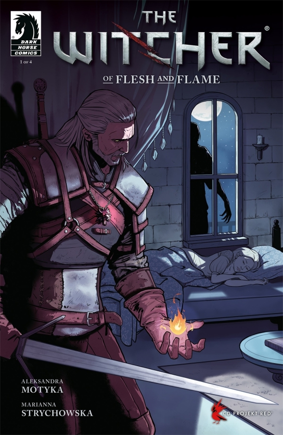 Witcher Comic Series