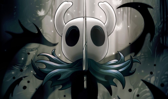 hollow knight sales