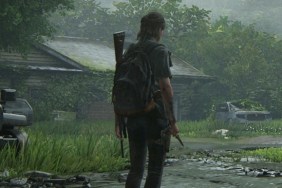 the last of us part 2 character