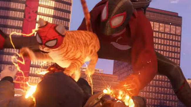 spider-man miles morales spider-cat