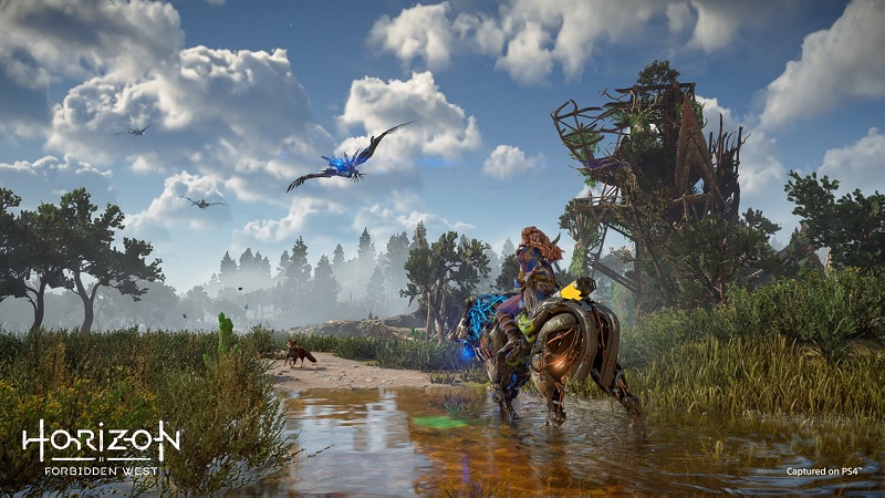 horizon forbidden west ps4