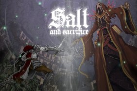 salt and sacrifice price