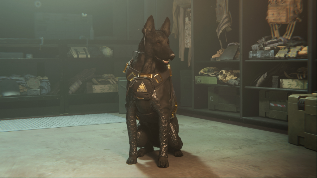 Call of Duty: Modern Warfare II Season 5 Includes Tactical Pets That Execute Foes