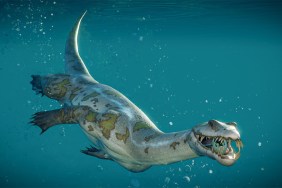 Jurassic World Evolution 2 DLC Adds Prehistoric Marine Species Next Week