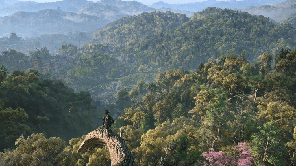 Assassin's Creed Shadow Viewpoint