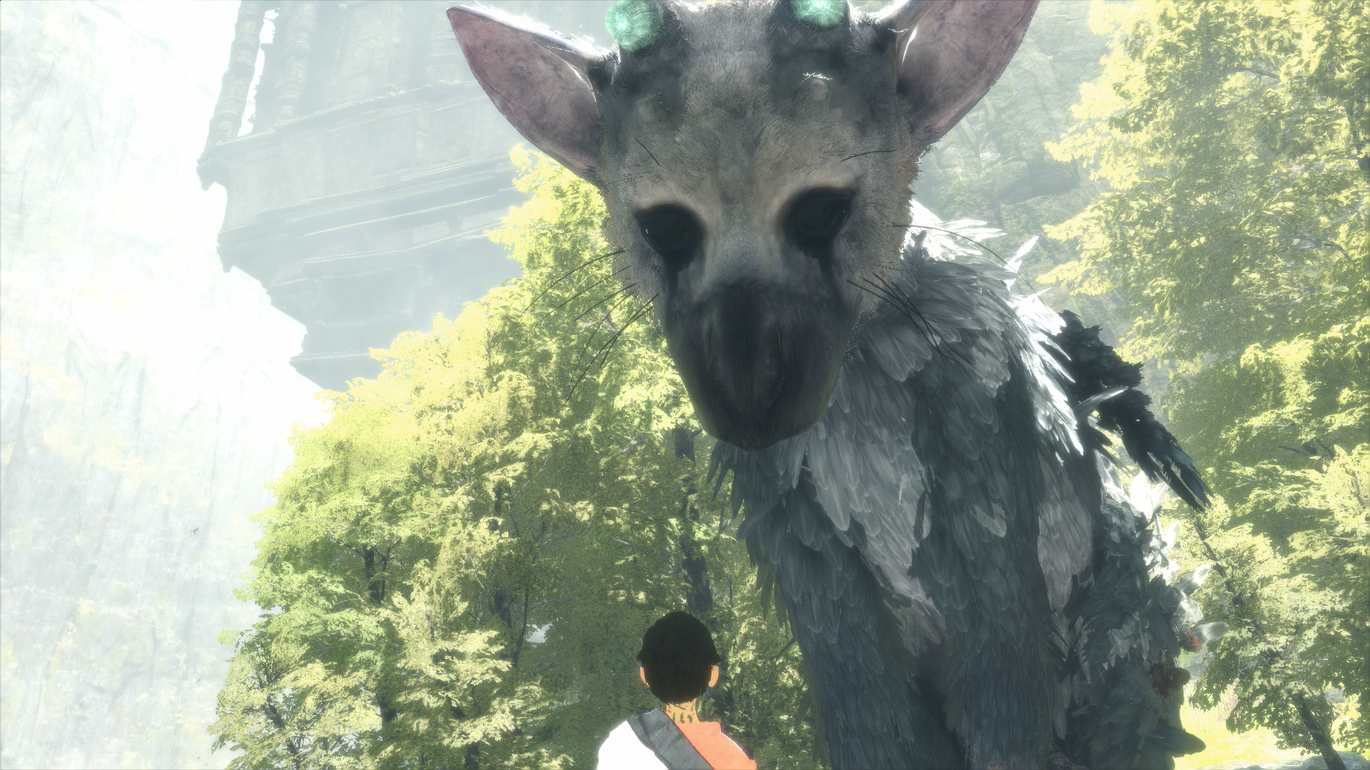 Trico