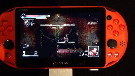 Salt and Sanctuary (Vita version new, PS4 older)