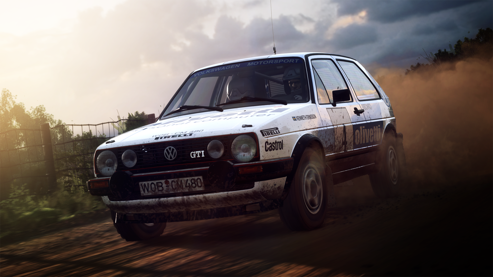 DiRT Rally 2.0 Screenshot