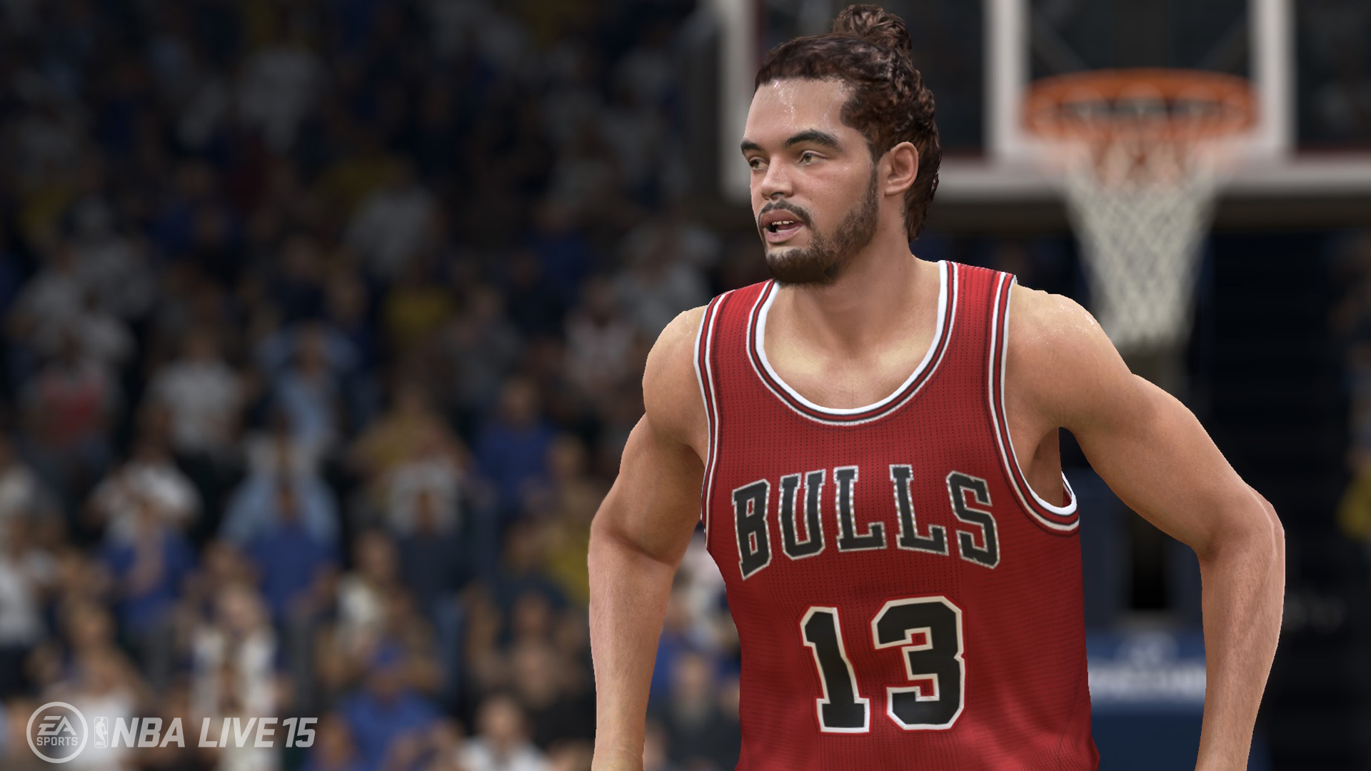 Joakin Noah