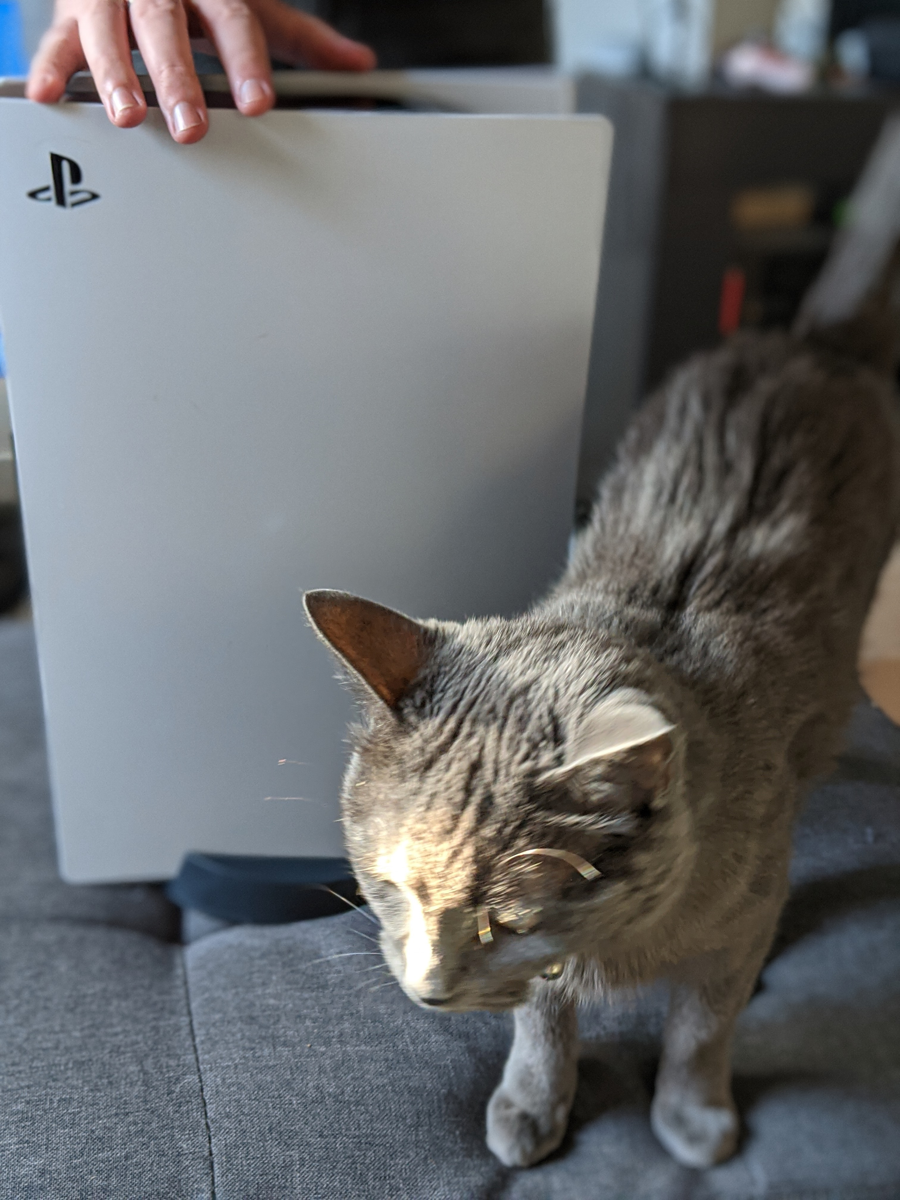 PS5 Next to a Cat