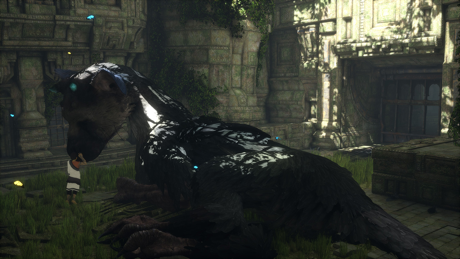 The Last Guardian 5