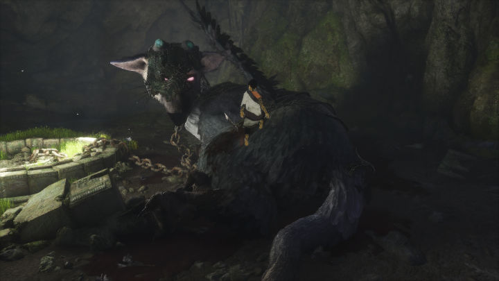 The Last Guardian