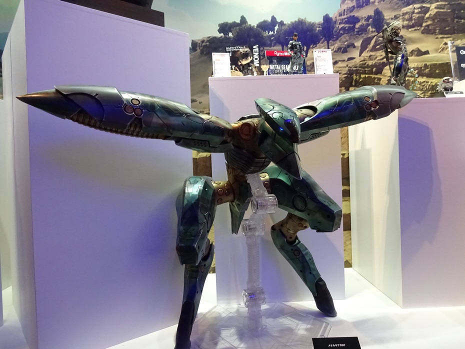 2014 Tokyo Game Show0049