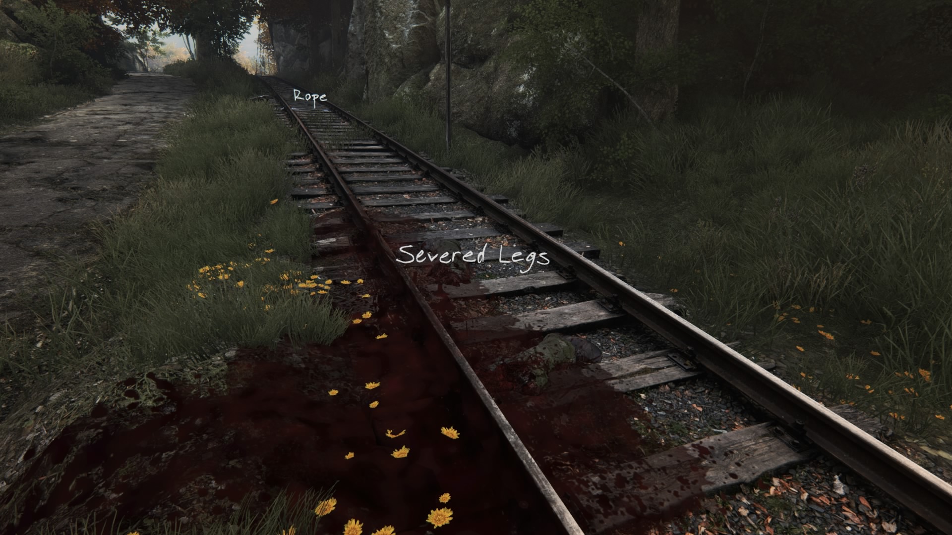 The Vanishing of Ethan Carter