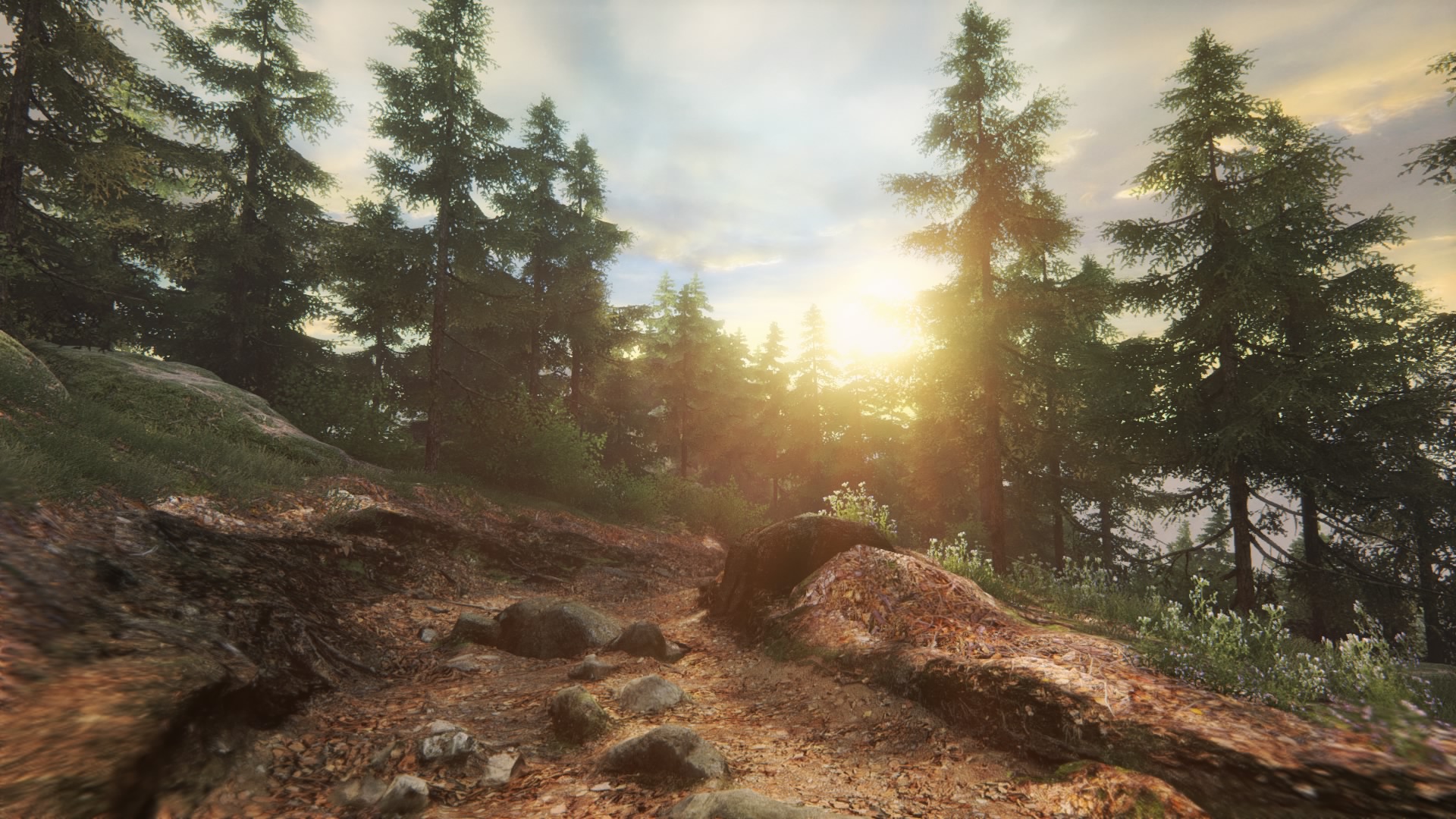 The Vanishing of Ethan Carter