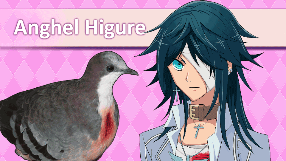 Hatoful Boyfriend