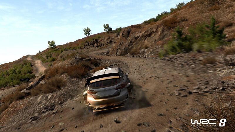 WRC 8 Jan 2019 #1