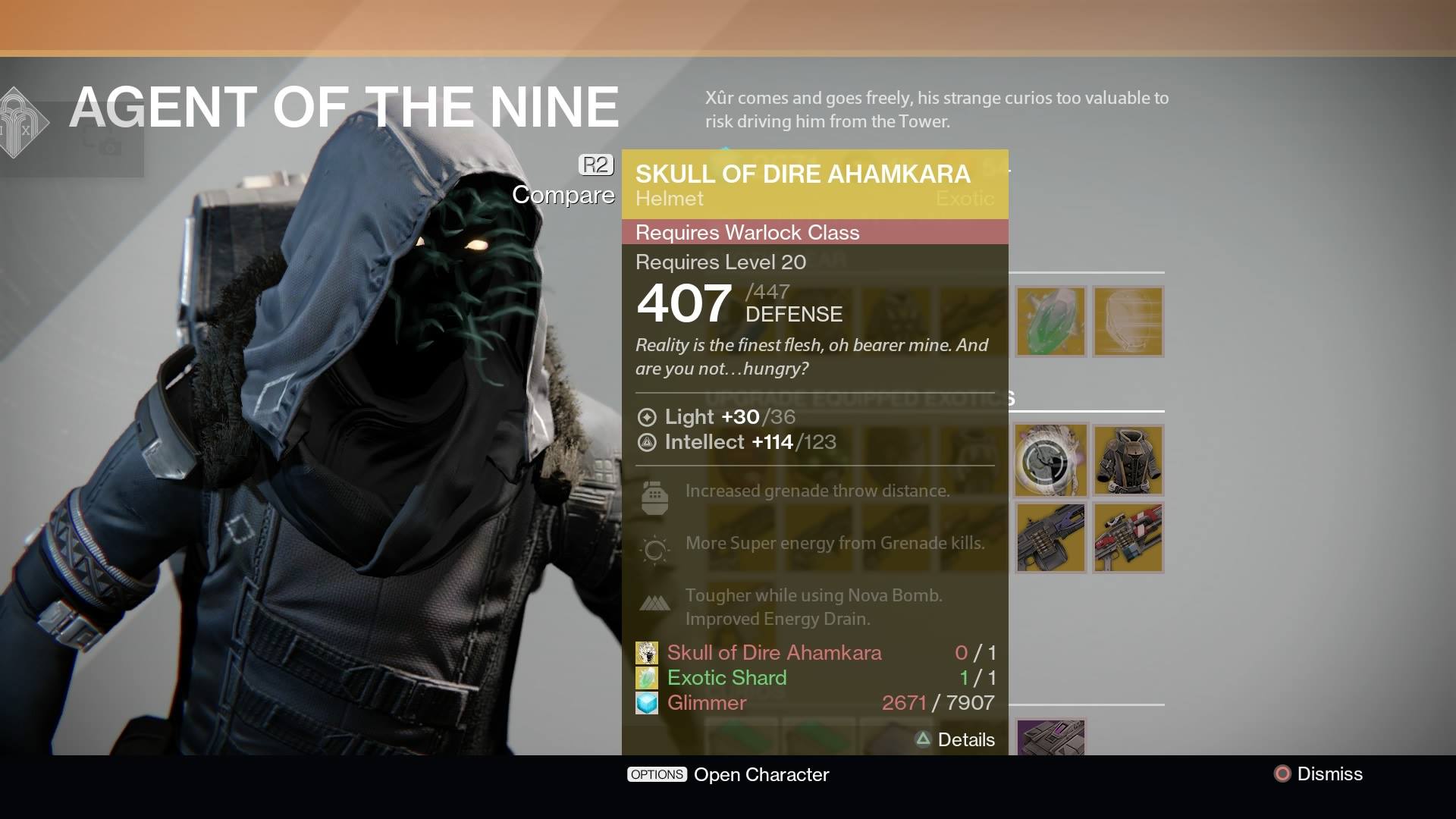 Skull of Dire Ahamkara